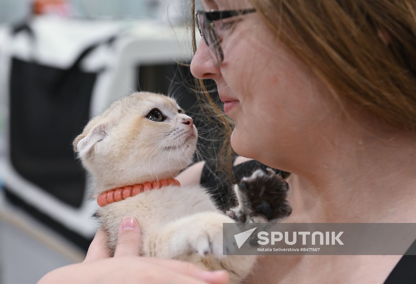 Russia Cat Show