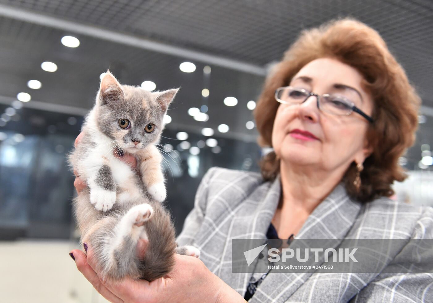 Russia Cat Show