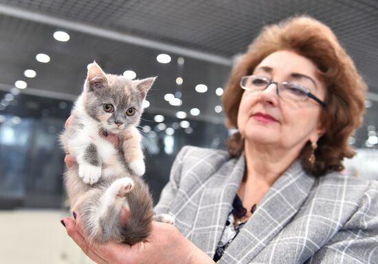 Russia Cat Show