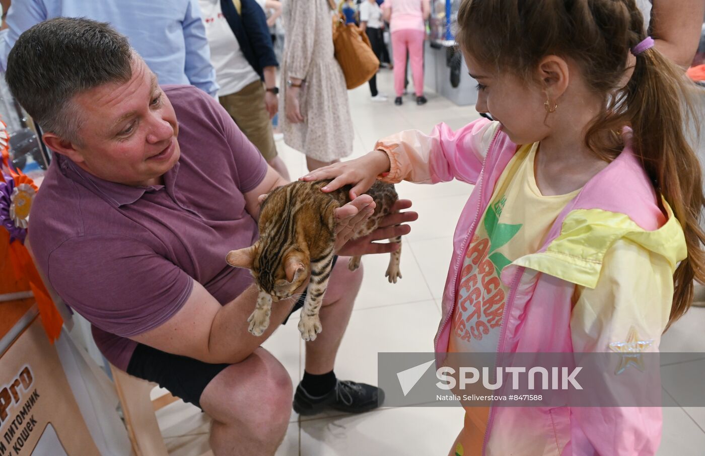 Russia Cat Show