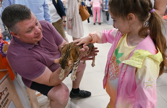 Russia Cat Show