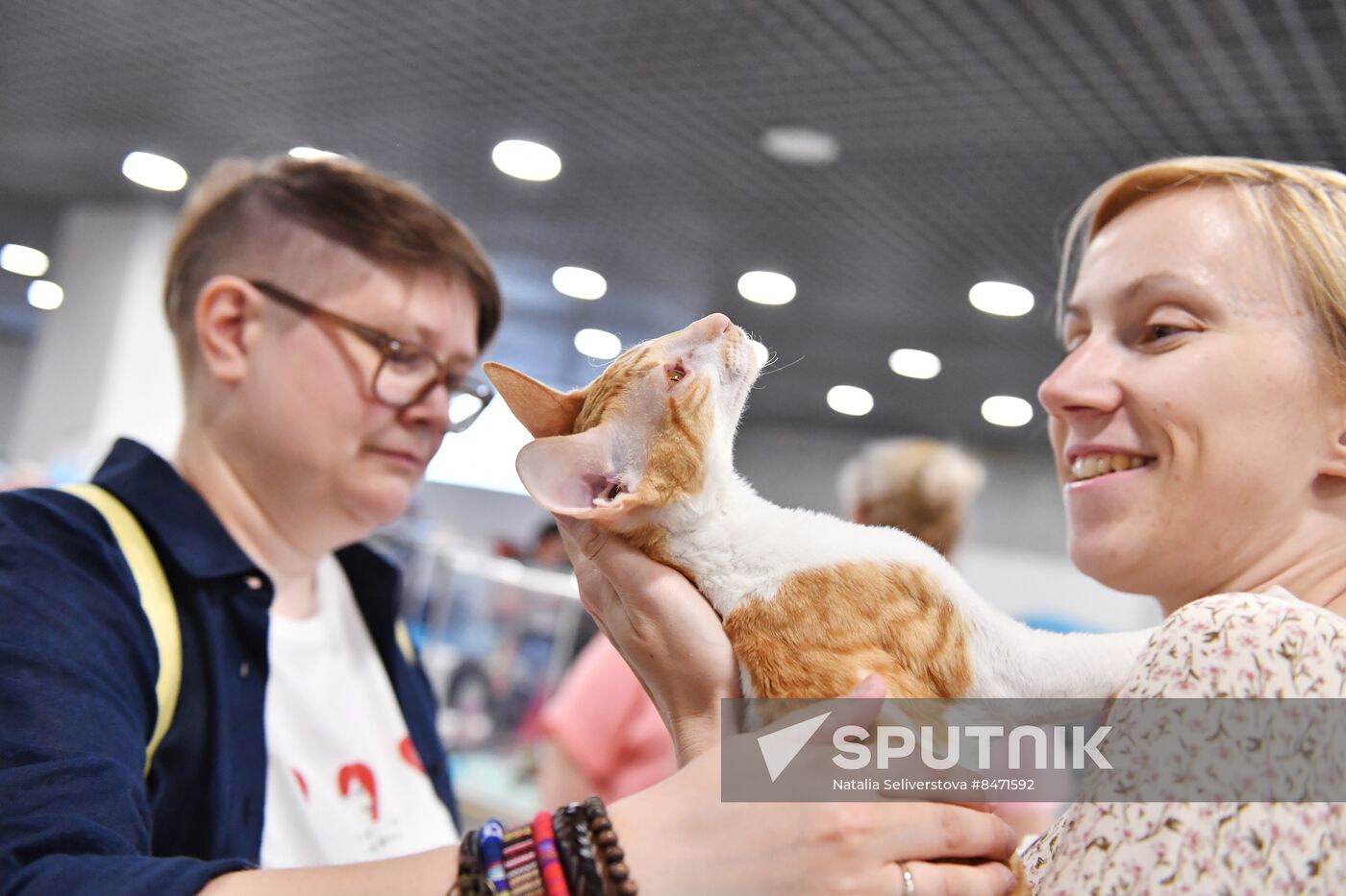 Russia Cat Show