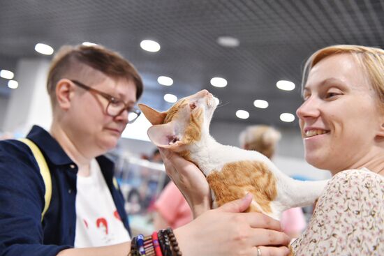 Russia Cat Show