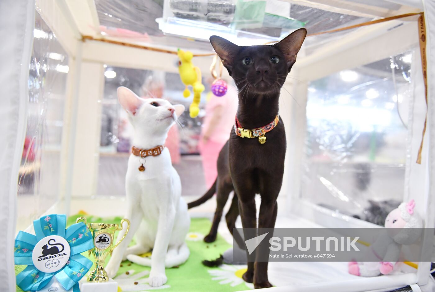 Russia Cat Show