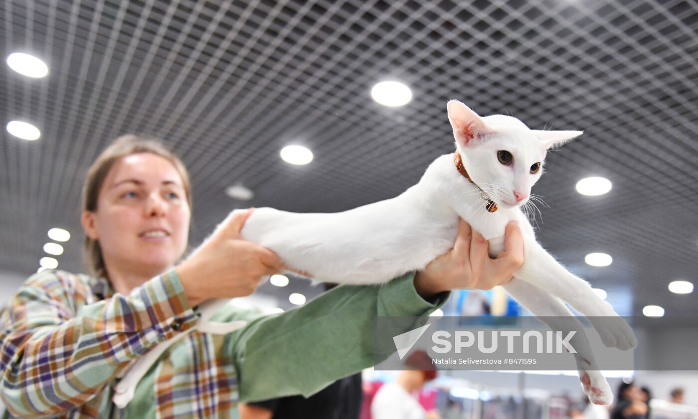 Russia Cat Show