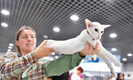 Russia Cat Show