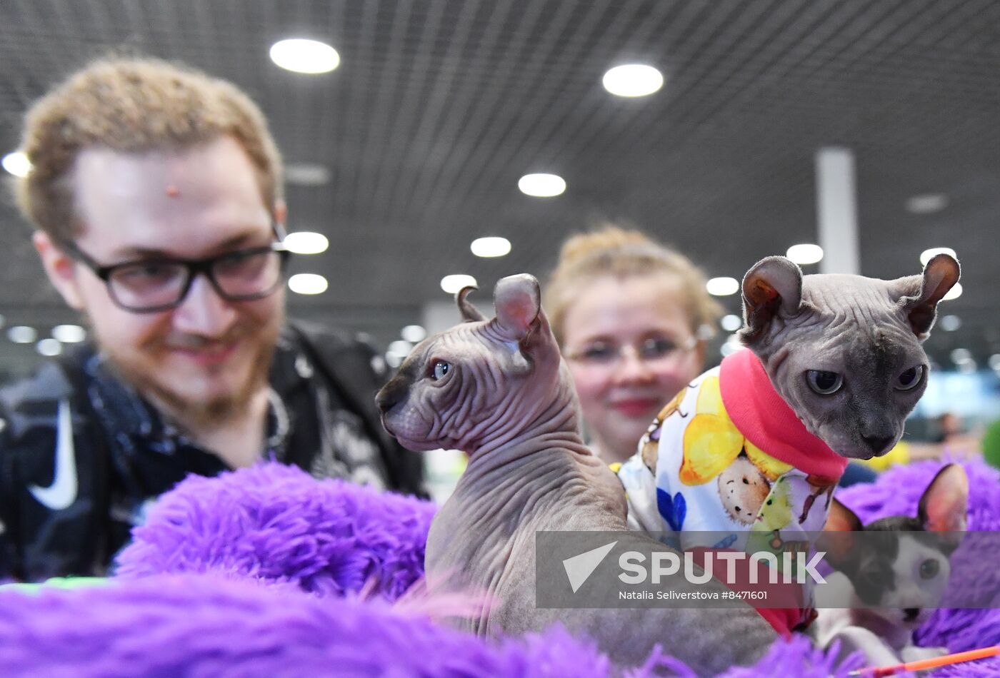 Russia Cat Show