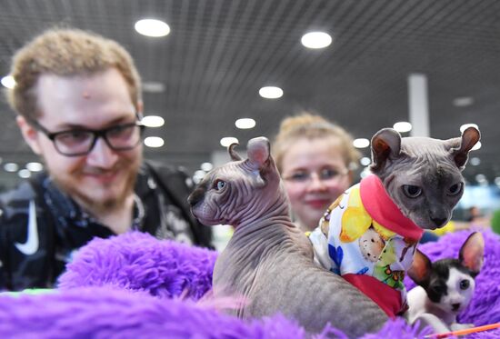 Russia Cat Show