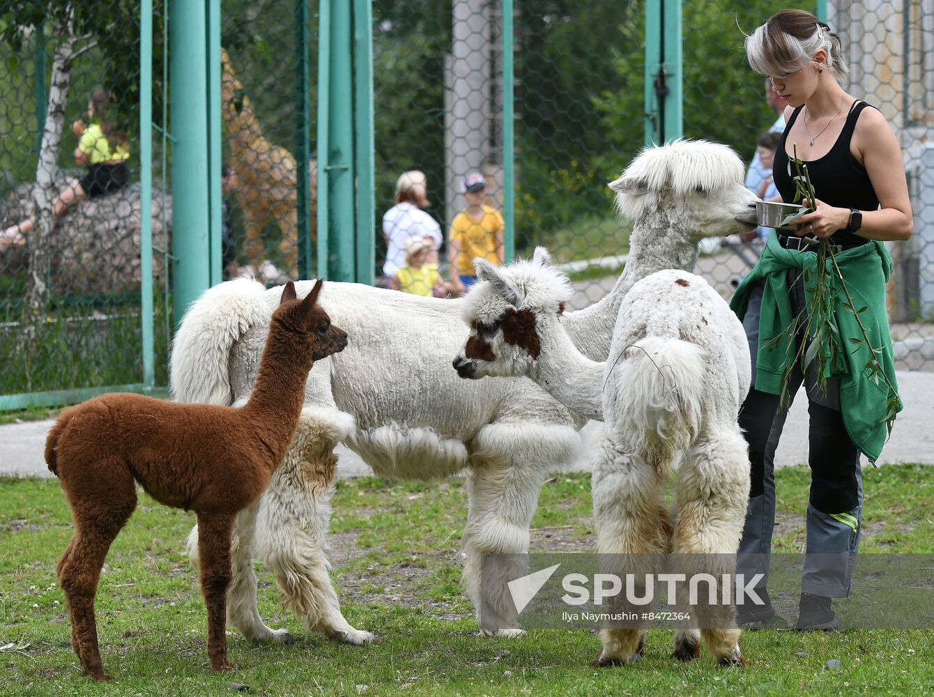 Russia Zoo