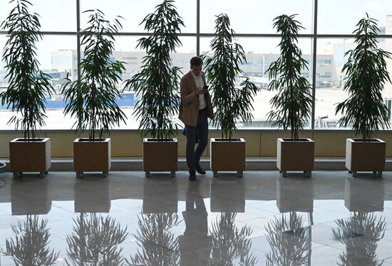 Russia Airport Terminal Construction