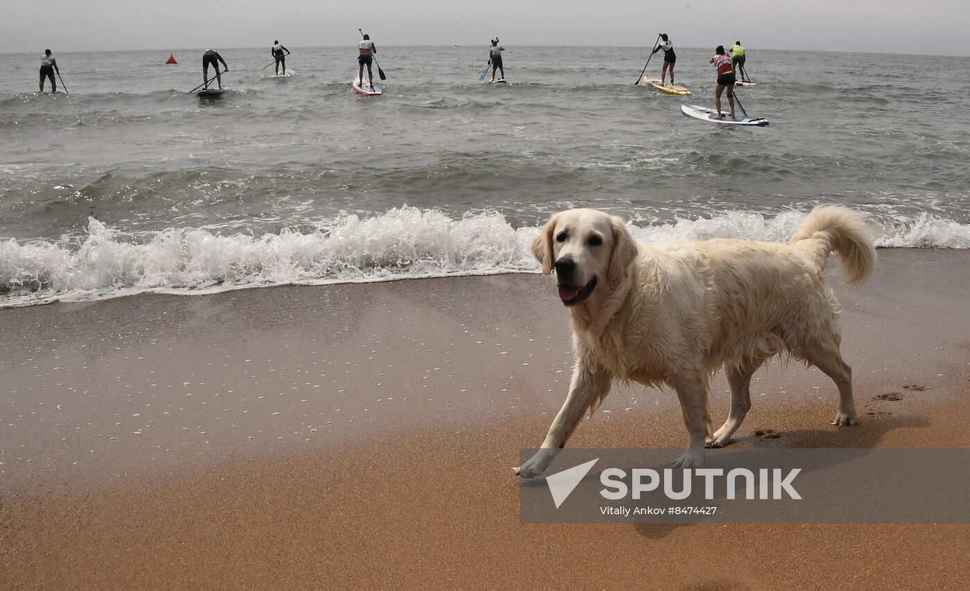 Russia Sup Boarding Championship