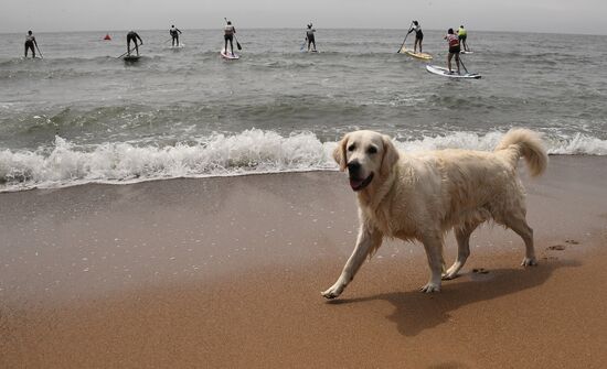 Russia Sup Boarding Championship