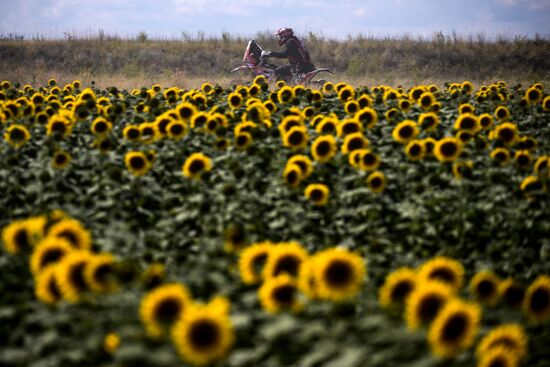 Russia Silk Way