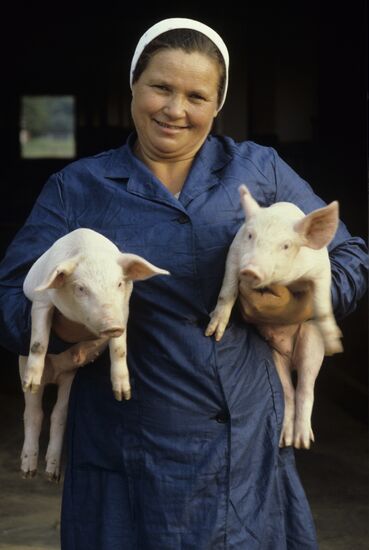 Pobeda multi-purpose collective farm