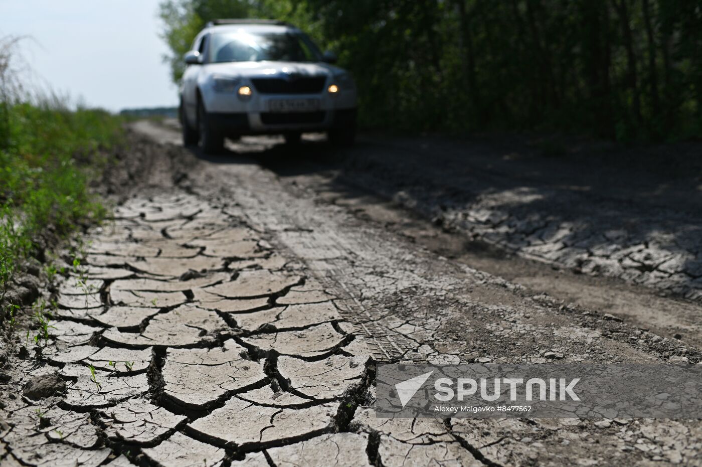 Russia Agriculture