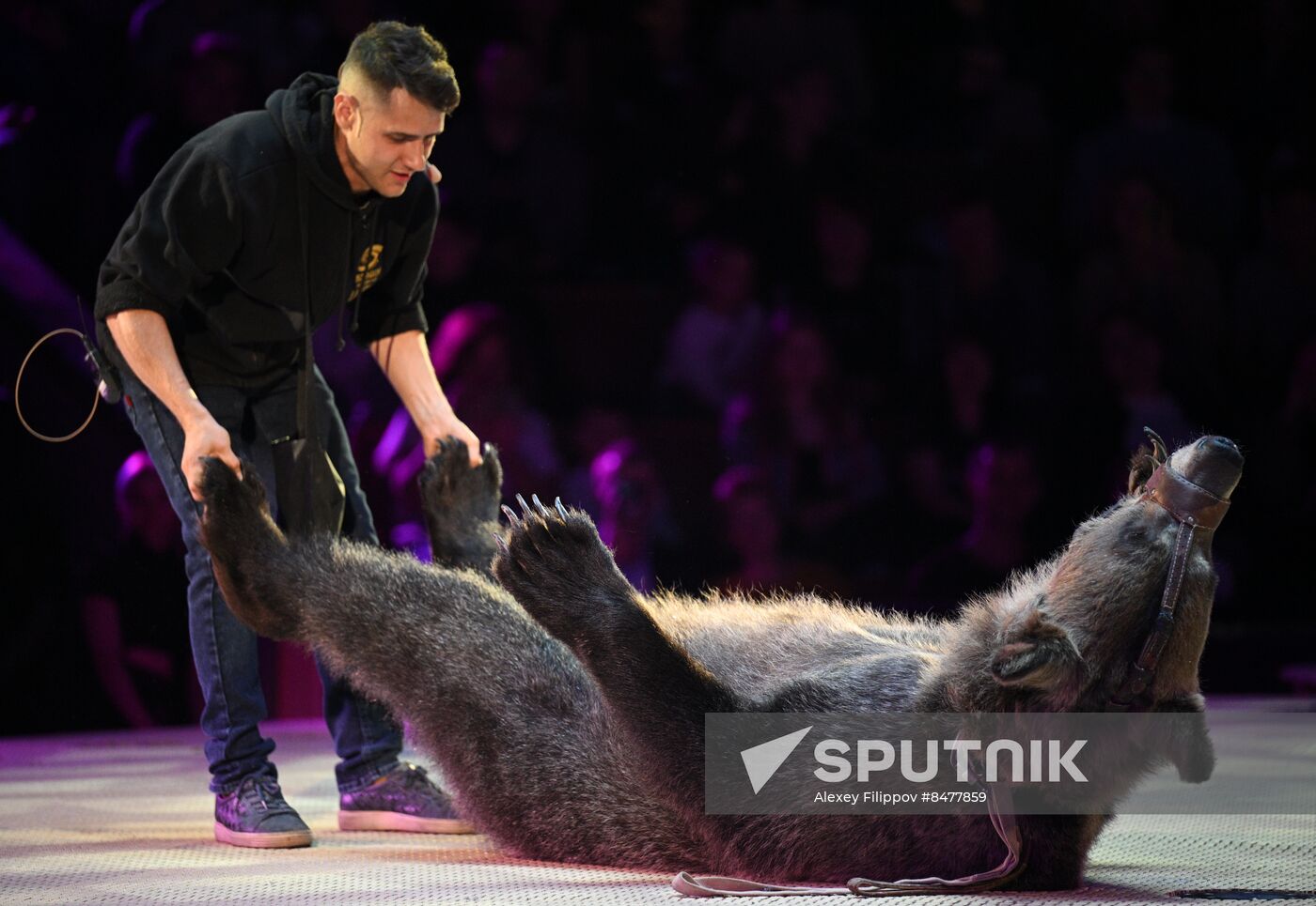 Russia Circus