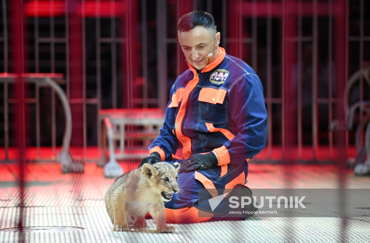 Russia Circus