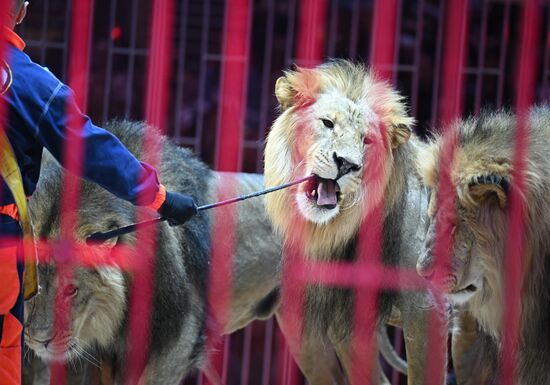 Russia Circus