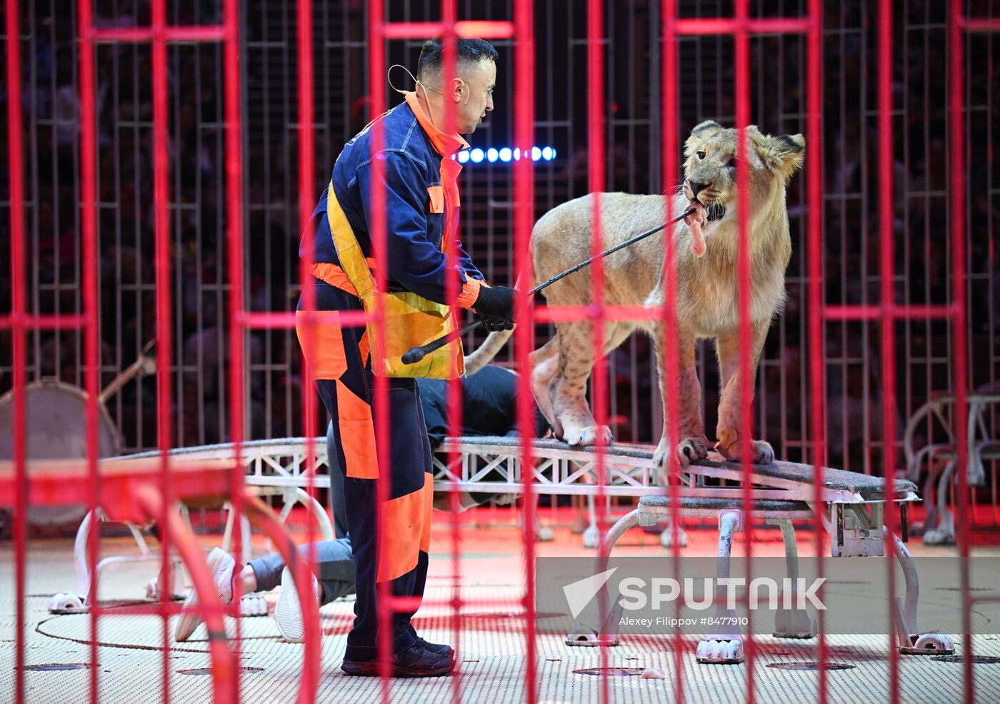 Russia Circus