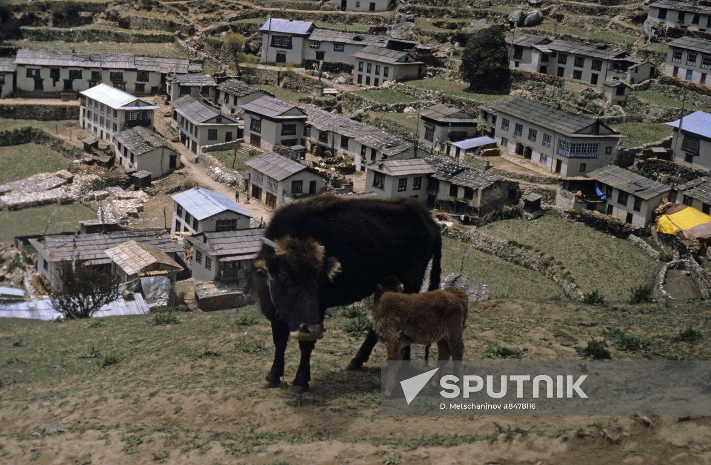 Nepal