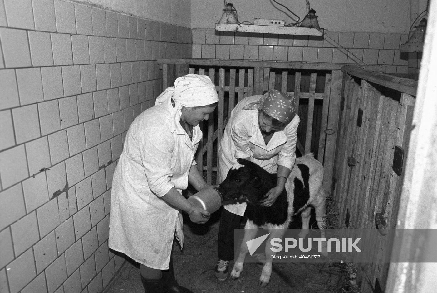 Soldatov family farm