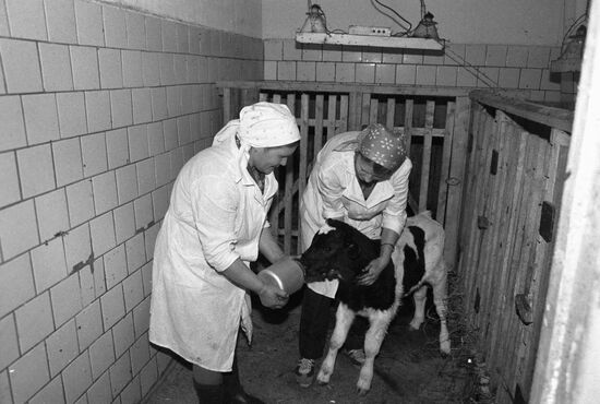 Soldatov family farm