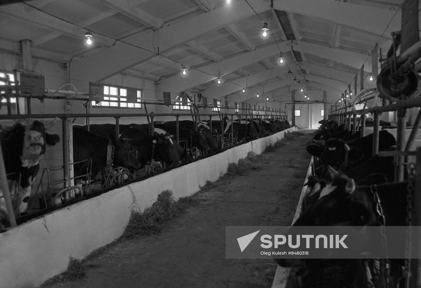 Soldatov family farm