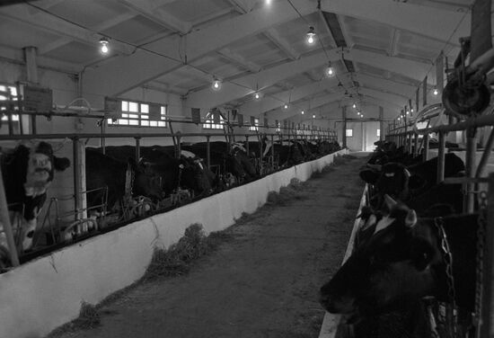 Soldatov family farm