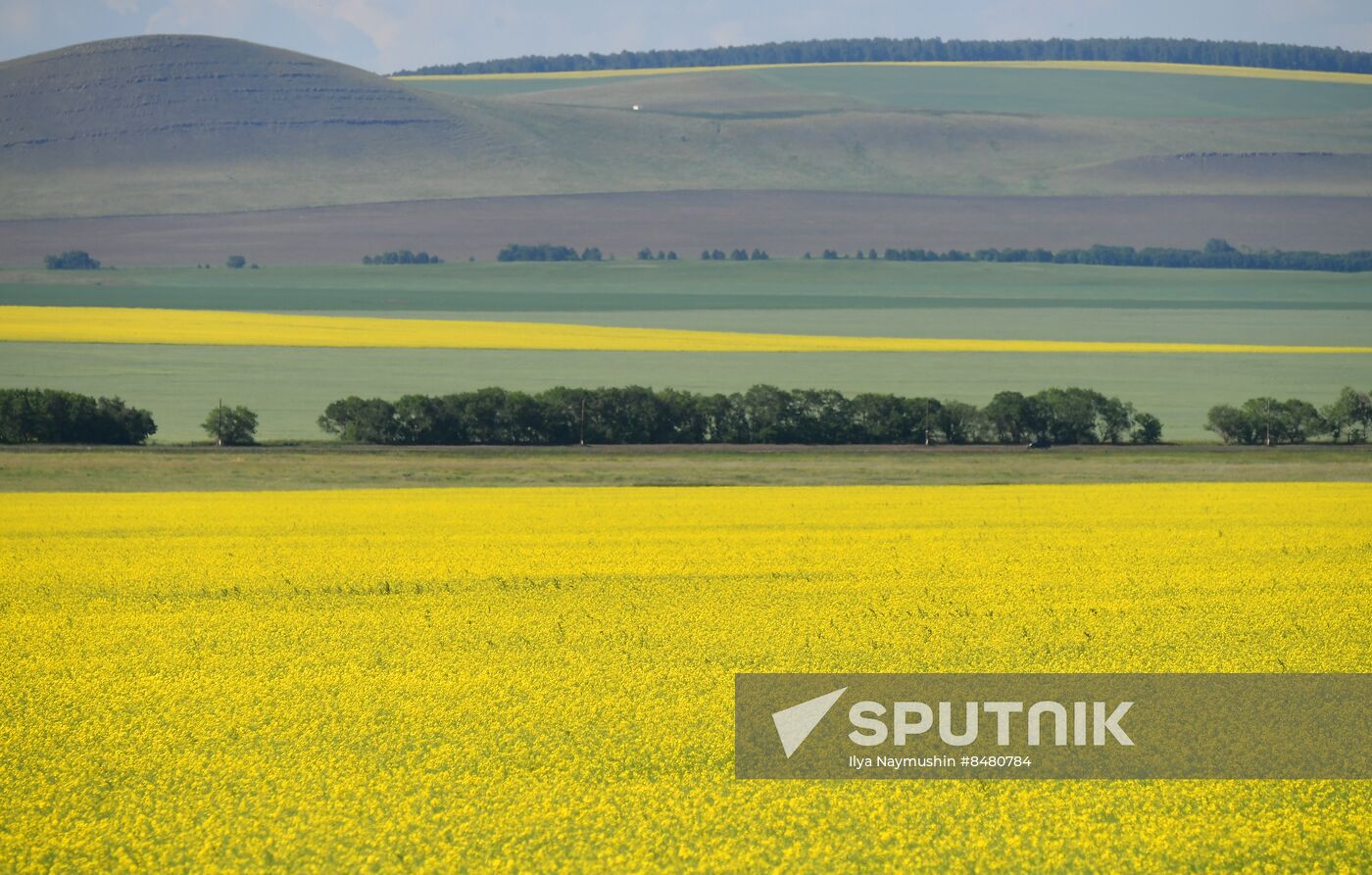 Russia Agriculture