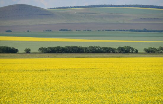 Russia Agriculture