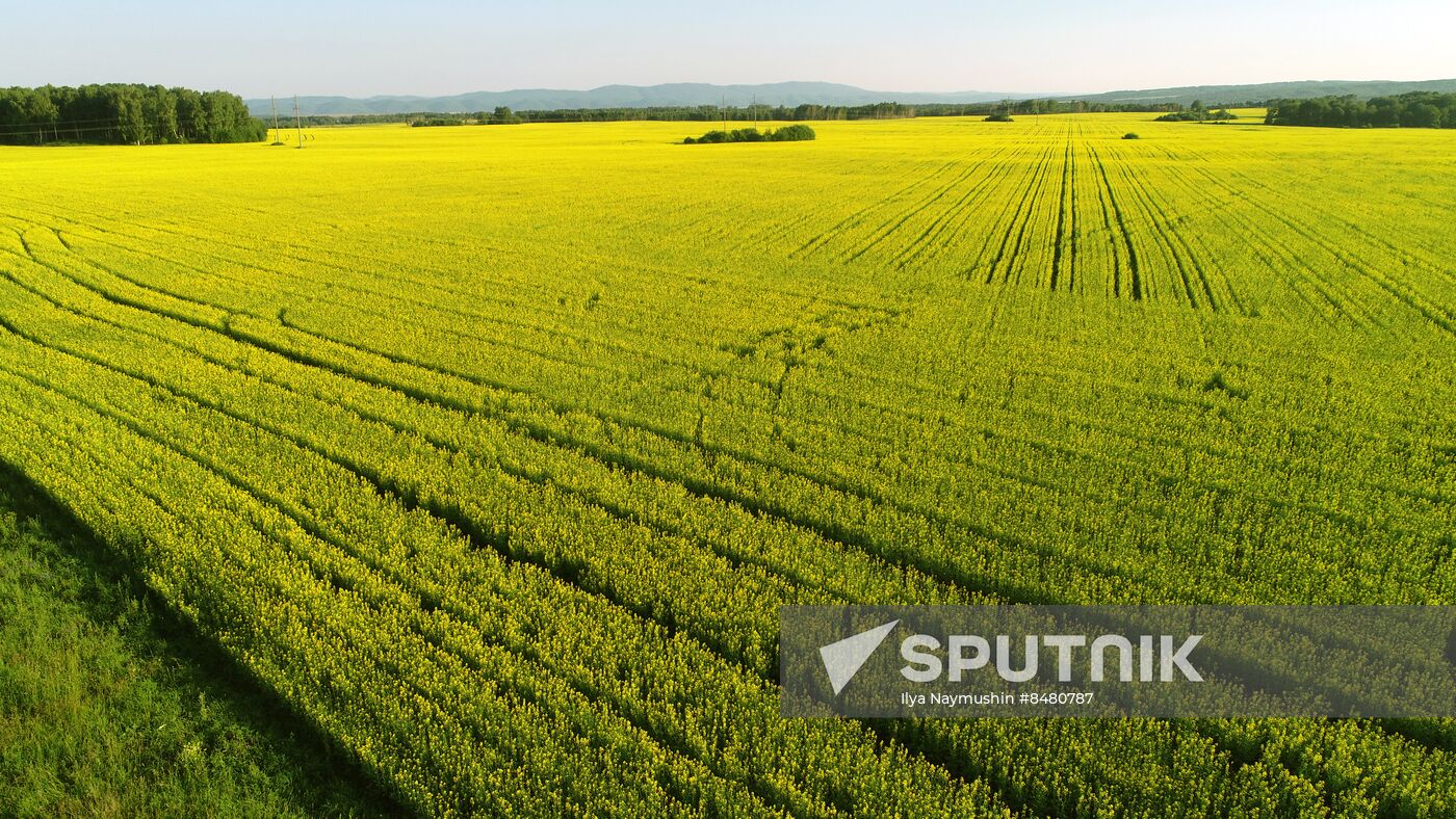 Russia Agriculture