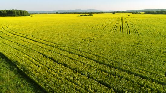 Russia Agriculture