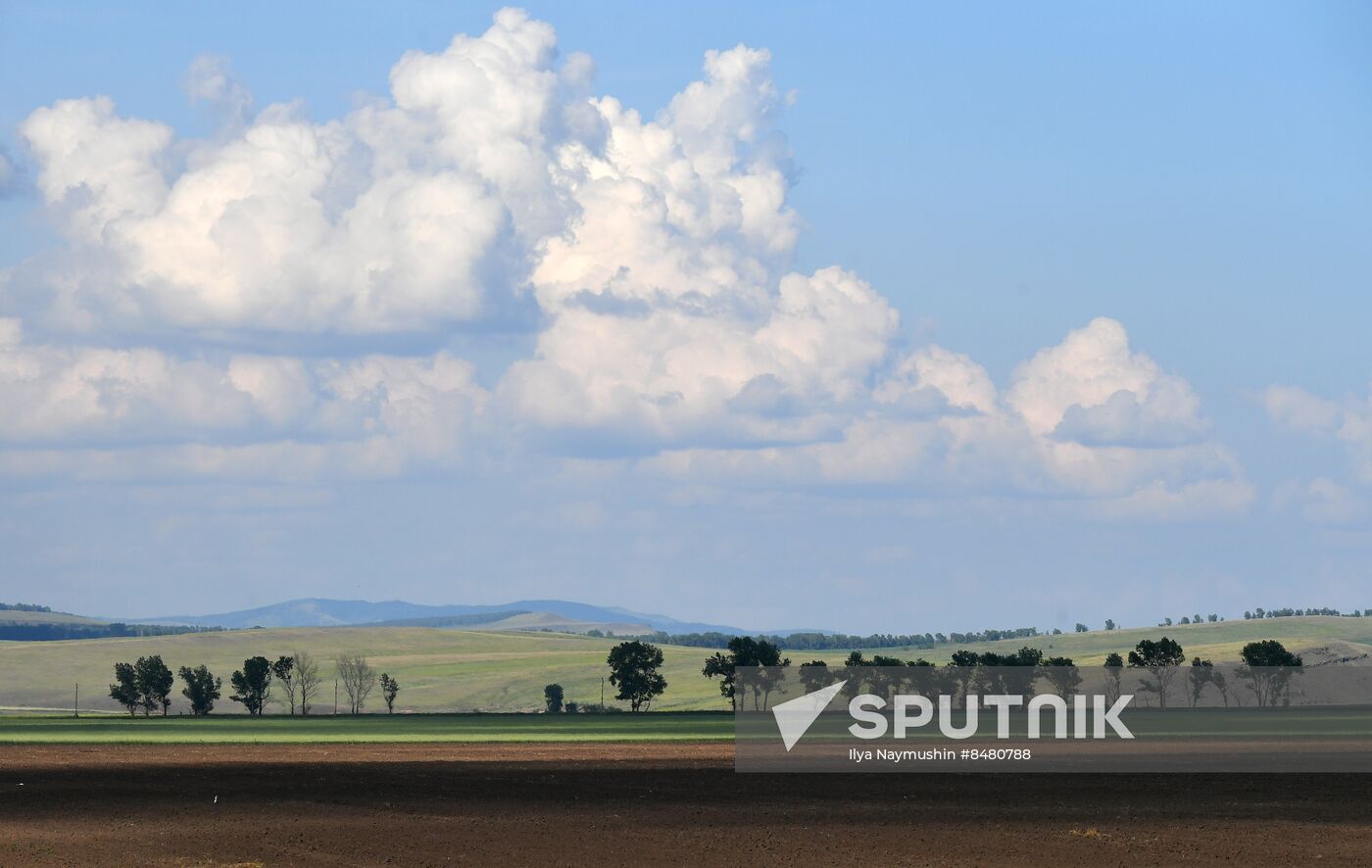 Russia Agriculture