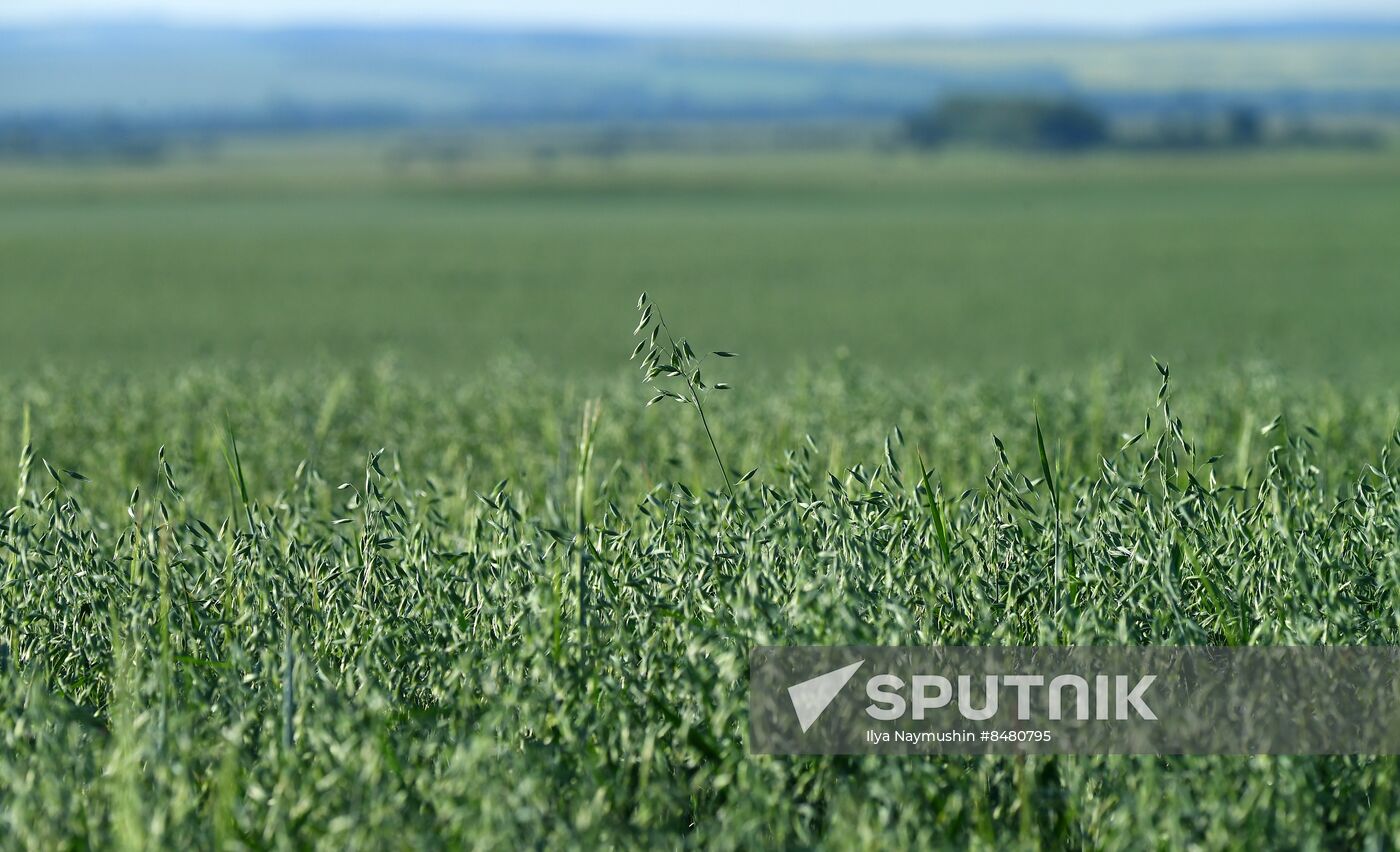 Russia Agriculture