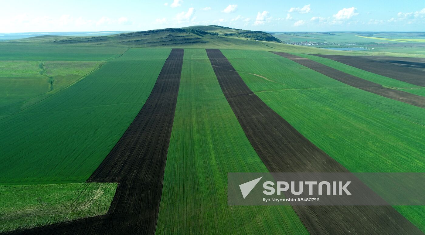 Russia Agriculture