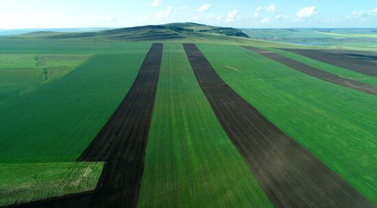 Russia Agriculture