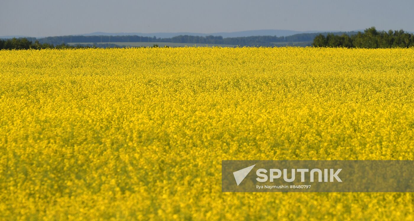 Russia Agriculture