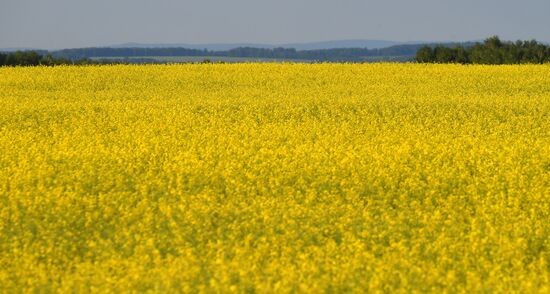 Russia Agriculture