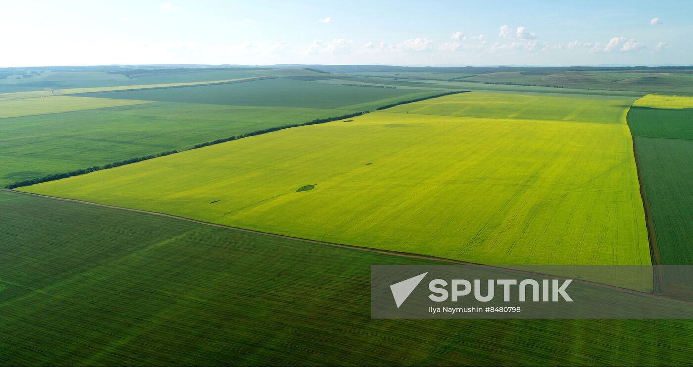 Russia Agriculture