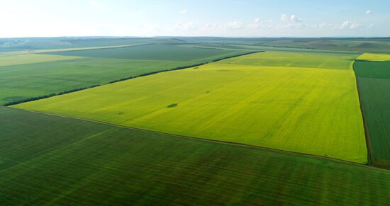 Russia Agriculture