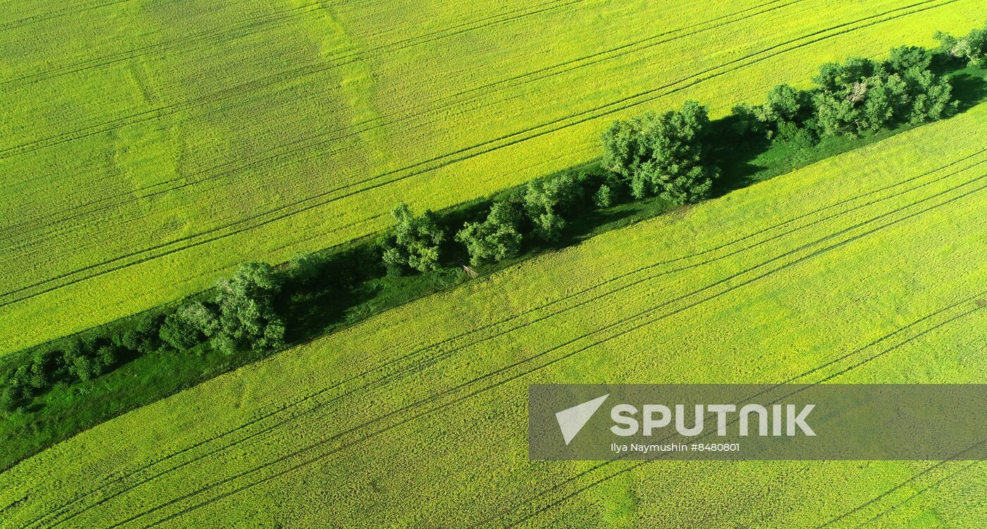 Russia Agriculture