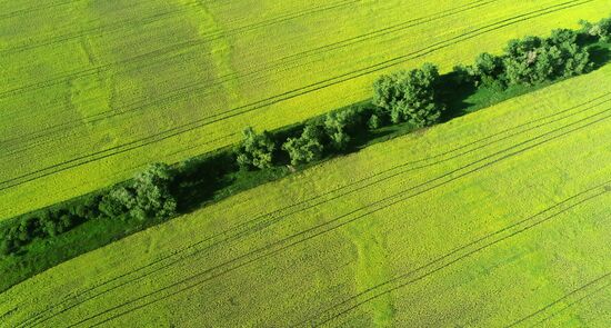 Russia Agriculture