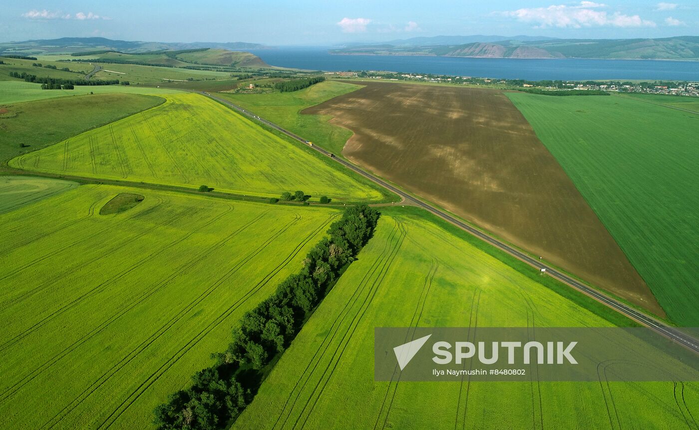 Russia Agriculture