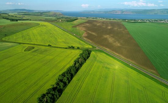 Russia Agriculture