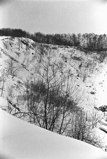 Lisenitsky forest on outskirts of Lvov, Ukrainian SSR