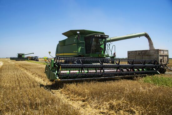 Russia Kherson Region Wheat Harvesting