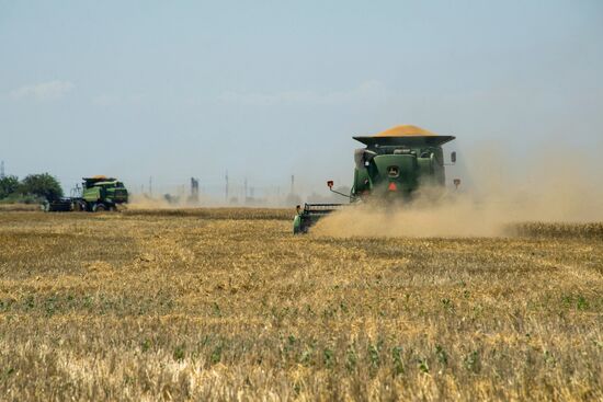 Russia Kherson Region Wheat Harvesting