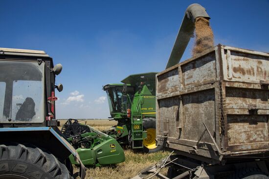 Russia Kherson Region Wheat Harvesting