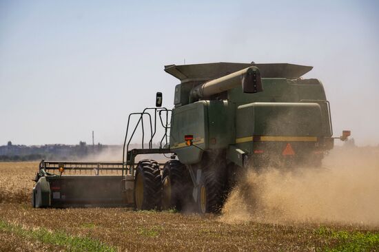 Russia Kherson Region Wheat Harvesting