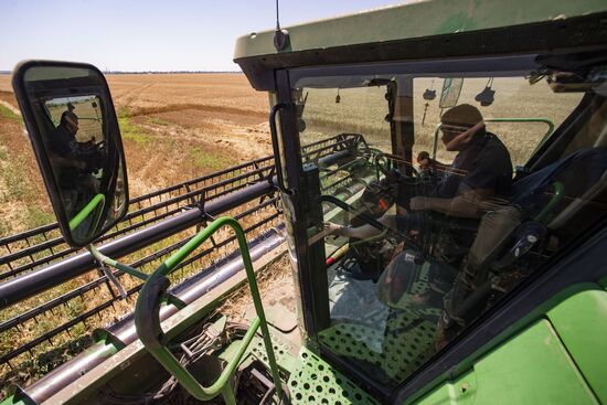 Russia Kherson Region Wheat Harvesting